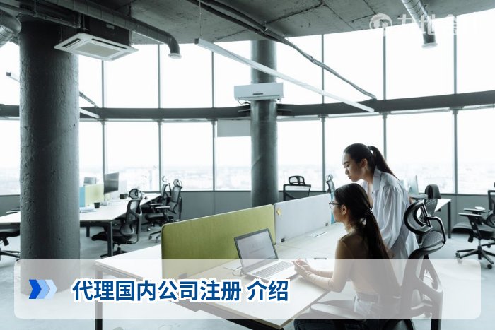 代理国内公司注册 介绍