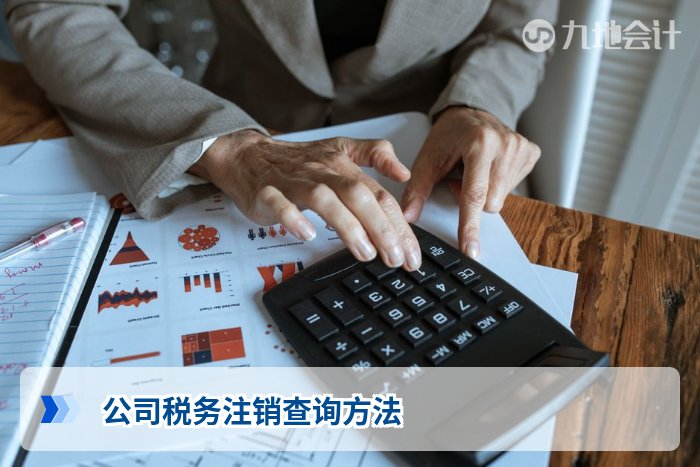 公司税务注销查询方法