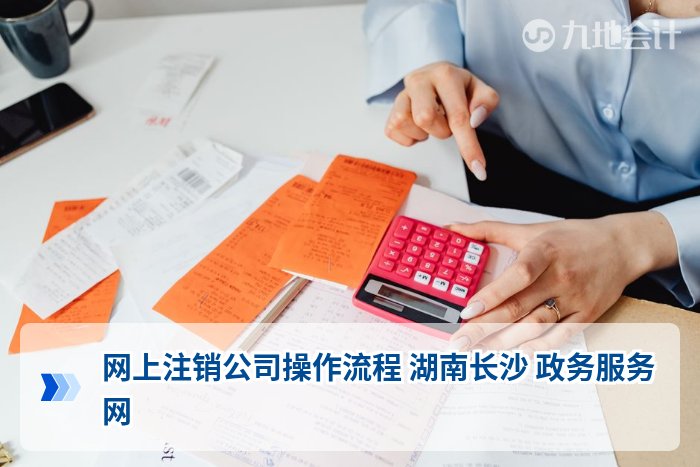 网上注销公司操作流程 湖南长沙 政务服务网