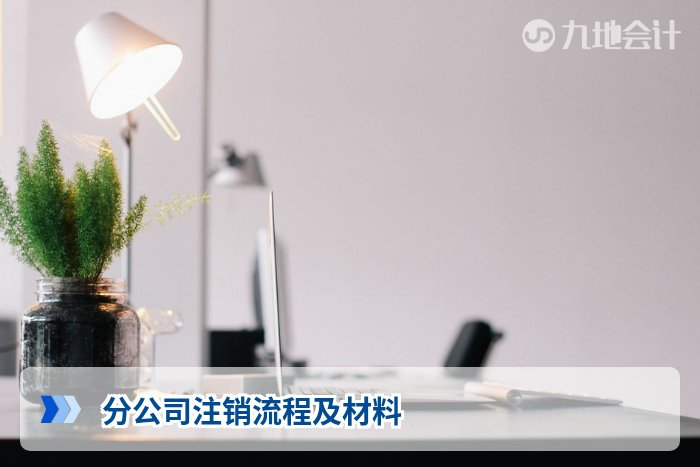 分公司注销流程及材料