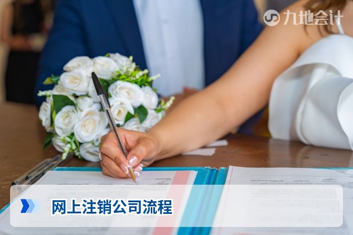 网上注销公司流程