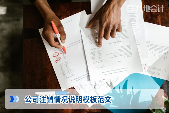 公司注销情况说明模板范文