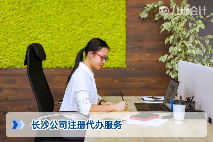长沙公司注册代办服务