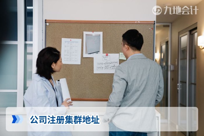公司注册集群地址