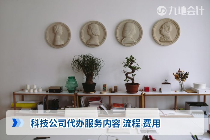 科技公司代办服务内容 流程 费用
