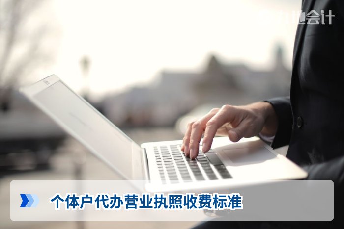 个体户代办营业执照收费标准