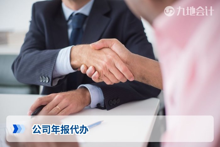 公司年报代办