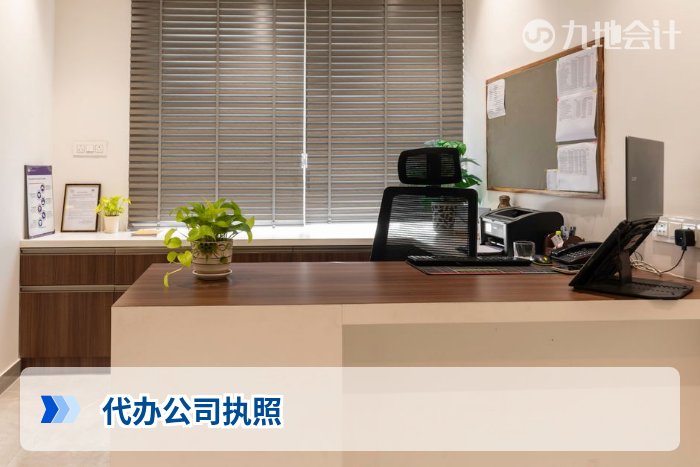 代办公司执照