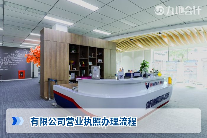 有限公司营业执照办理流程