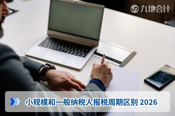 小规模和一般纳税人报税周期区别 2026