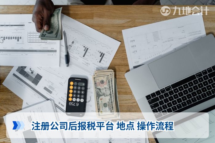 注册公司后报税平台 地点 操作流程