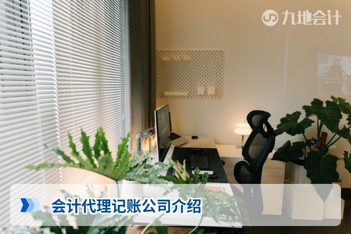 会计代理记账公司介绍