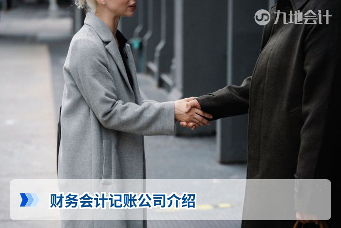 财务会计记账公司介绍