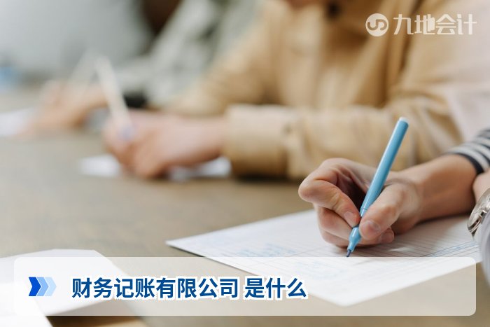 财务记账有限公司 是什么