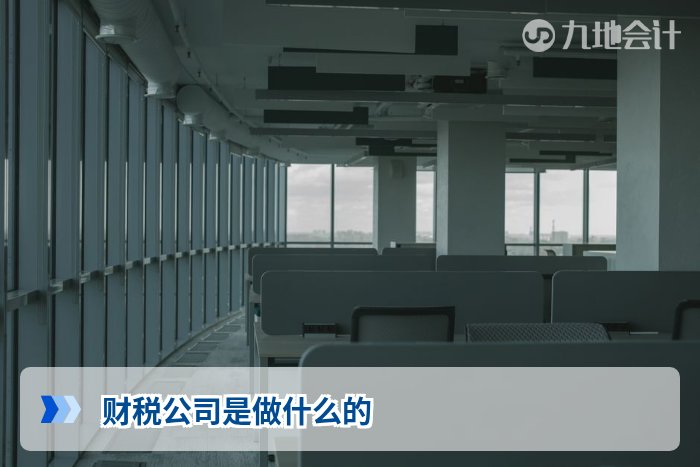 财税公司是做什么的