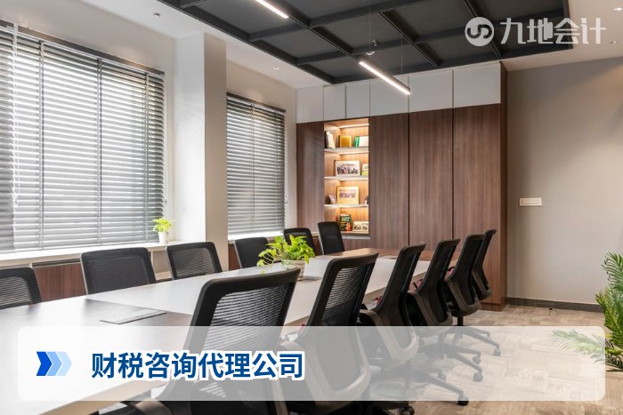 财税咨询代理公司