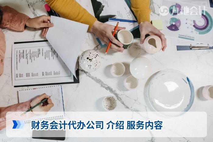 财务会计代办公司 介绍 服务内容