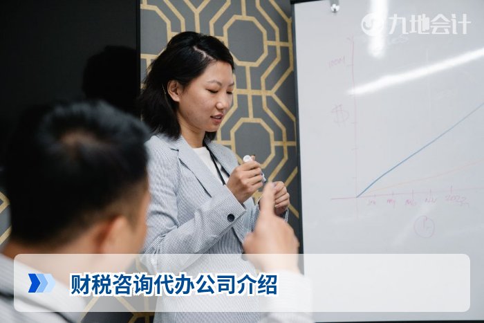 财税咨询代办公司介绍