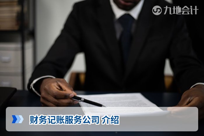 财务记账服务公司 介绍