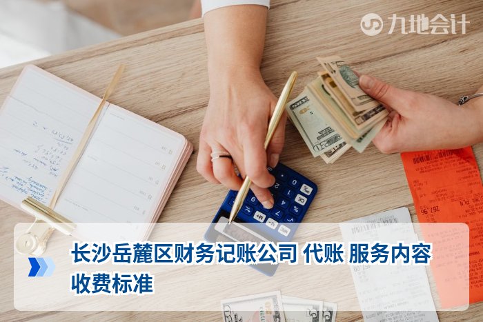 长沙岳麓区财务记账公司 代账 服务内容 收费标准