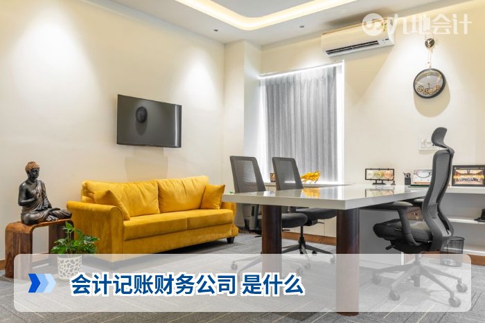 会计记账财务公司 是什么
