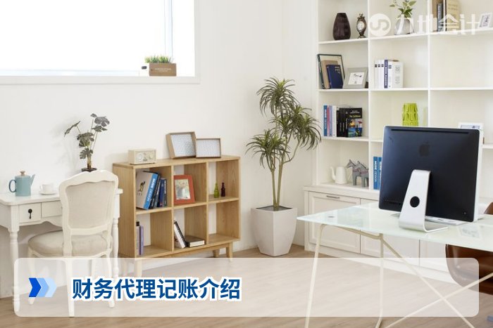 财务代理记账介绍