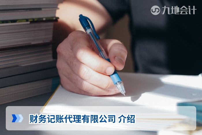 财务记账代理有限公司 介绍