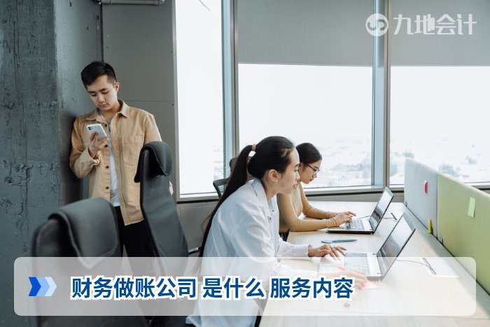财务做账公司 是什么 服务内容