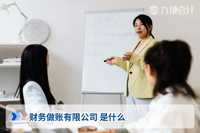 财务做账有限公司 是什么
