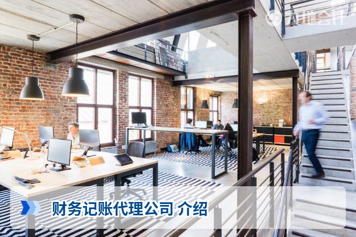 财务记账代理公司 介绍