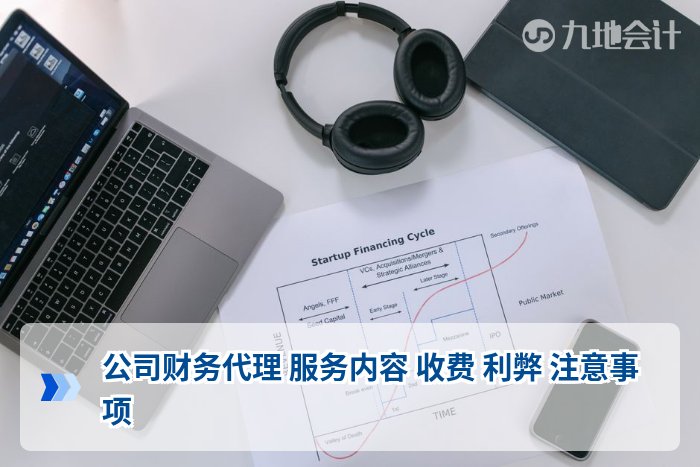 公司财务代理 服务内容 收费 利弊 注意事项