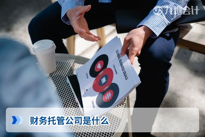 财务托管公司是什么
