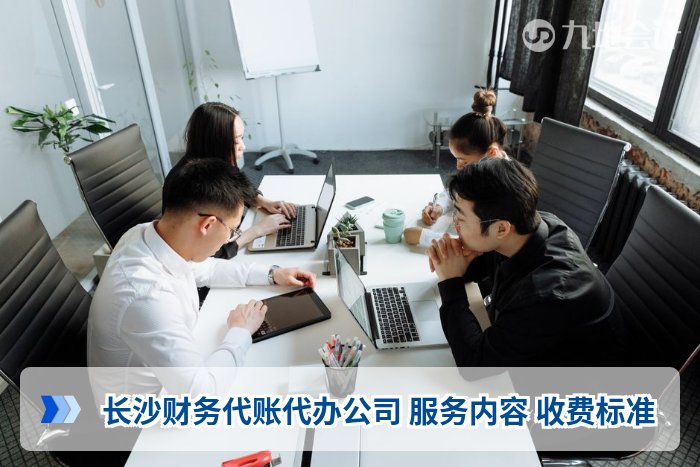 长沙财务代账代办公司 服务内容 收费标准