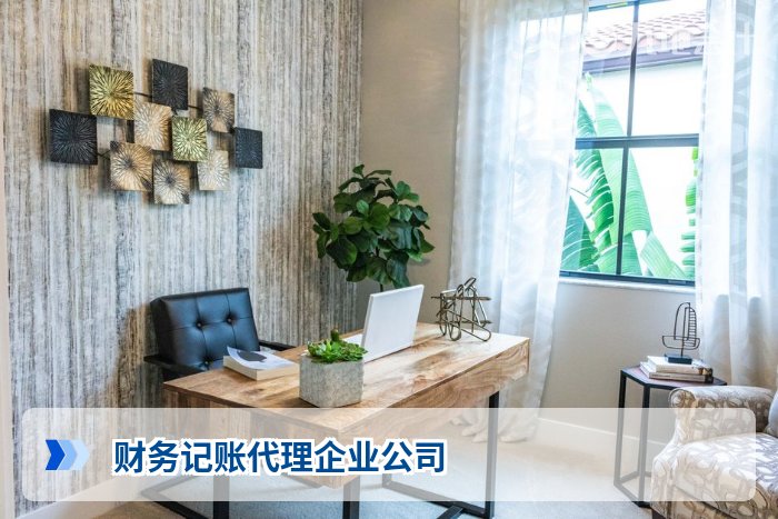 财务记账代理企业公司