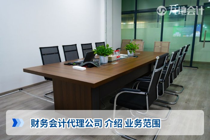 财务会计代理公司 介绍 业务范围