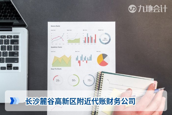 长沙麓谷高新区附近代账财务公司
