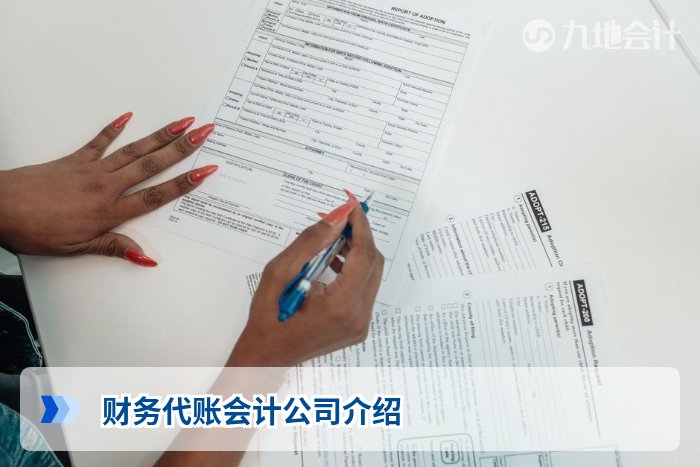 财务代账会计公司介绍