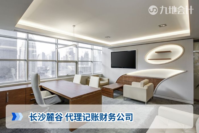 长沙麓谷 代理记账财务公司