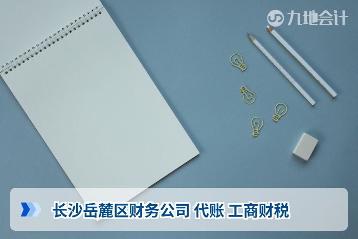 长沙岳麓区财务公司 代账 工商财税