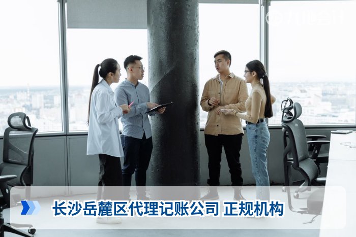 长沙岳麓区代理记账公司 正规机构
