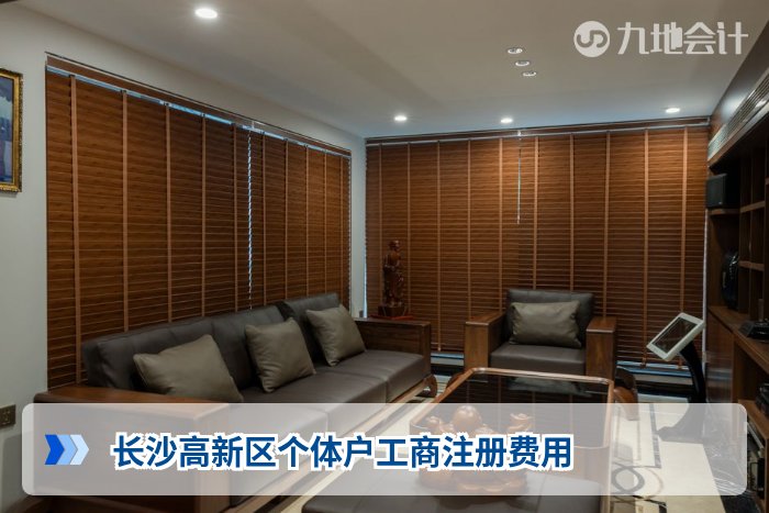 长沙高新区个体户工商注册费用