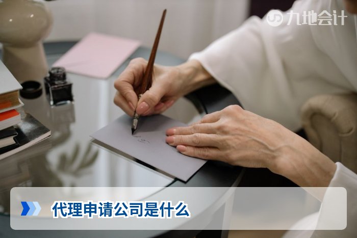 代理申请公司是什么