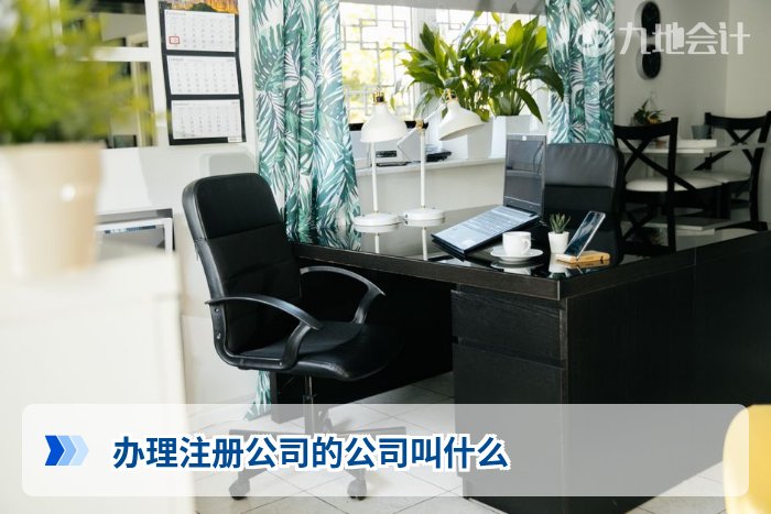 办理注册公司的公司叫什么