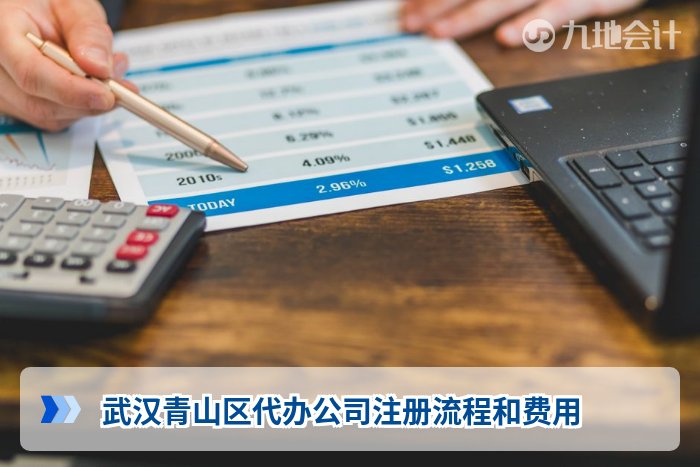 武汉青山区代办公司注册流程和费用