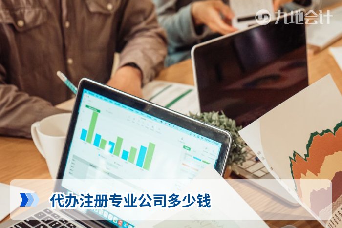 代办注册专业公司多少钱