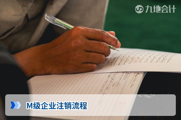 M级企业注销流程