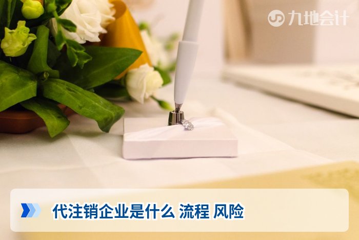 代注销企业是什么 流程 风险