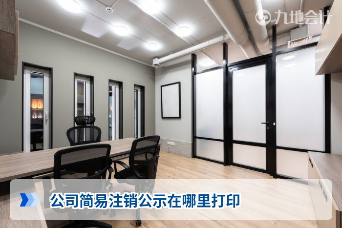 公司简易注销公示在哪里打印