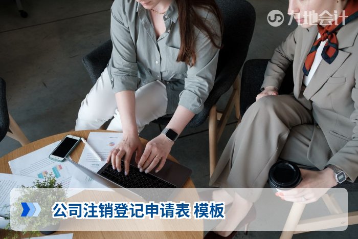 公司注销登记申请表 模板