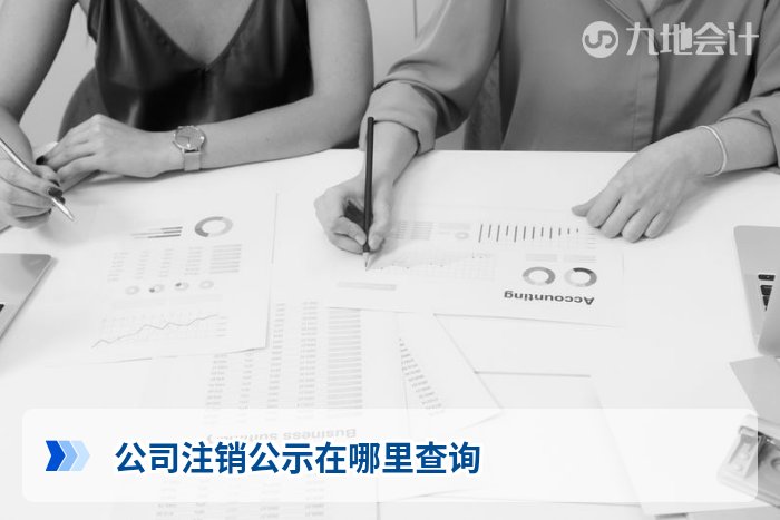 公司注销公示在哪里查询